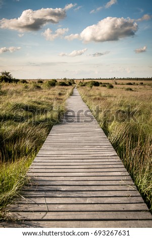 Wide landscape with path