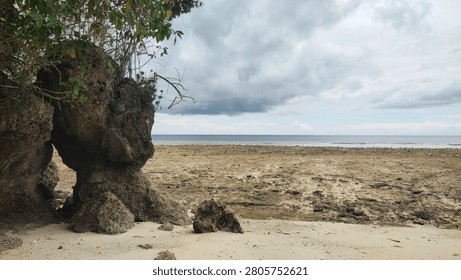 ​A wide landscape shot capturing a dramatic and textured coastal scene, the left foreground features a prominent, large weathered coral rock formation overgrown with green coastal vegetation and trees. The sandy beach gives way to a vast, exposed rocky reef flat covered in marine moss and algae, characteristic of a low tide environment. In the background, the calm ocean horizon meets a moody, heavy overcast sky filled with dark rain clouds, emphasizing a raw, untouched, and atmospheric tropical coastal wilderness.