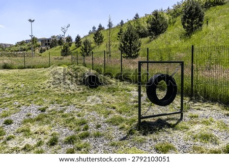 A wide landscape view of an empty dedicated public dog training park, featuring a suspended tire jump, an earth mound tunnel obstacle, and a safety wire fence.
