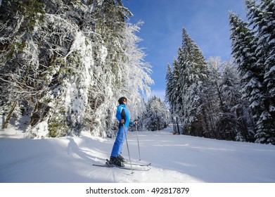 Wide Low Point View Shot Happy Stock Photo 492817879 | Shutterstock