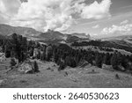 The wide meadows on the northern side of Sciliar mount in the Dolomites