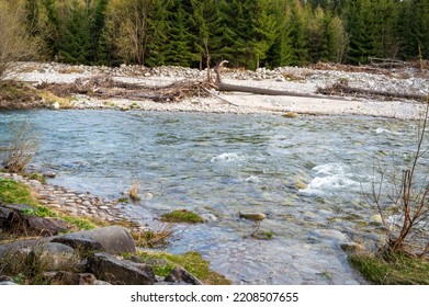 Wide Mountain Stream In Spring Coniferous Forest.