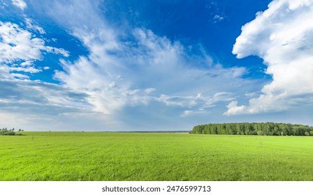 A wide open field stretching towards a cluster of trees in the distance, offering a tranquil and picturesque view of natures beauty under the soft light of spring. - Powered by Shutterstock