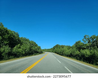 A wide open highway under a clear blue sky. Vegetation is thriving on either side of the highway. - Powered by Shutterstock