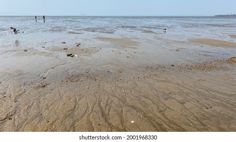 Wide Open Sea At Low Tide, Traces Of Sea Water Flowing