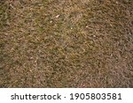 A wide overhead shot of dried yellow and green grass.