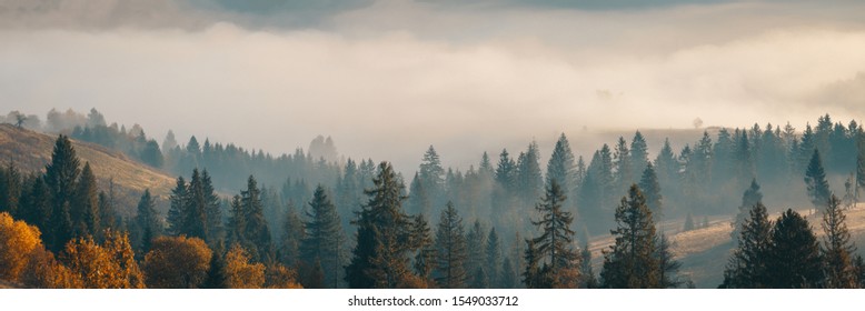 5,962 Misty forest wide Images, Stock Photos & Vectors | Shutterstock