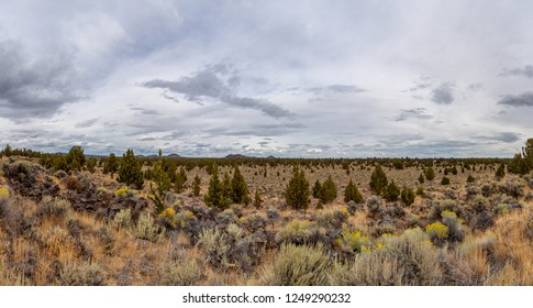 3,239 Juniper fields Images, Stock Photos & Vectors | Shutterstock