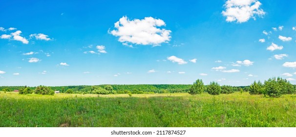 A wide panorama of the natural landscape on a clear summer day. Meadow with grasses, forest, sky with clouds