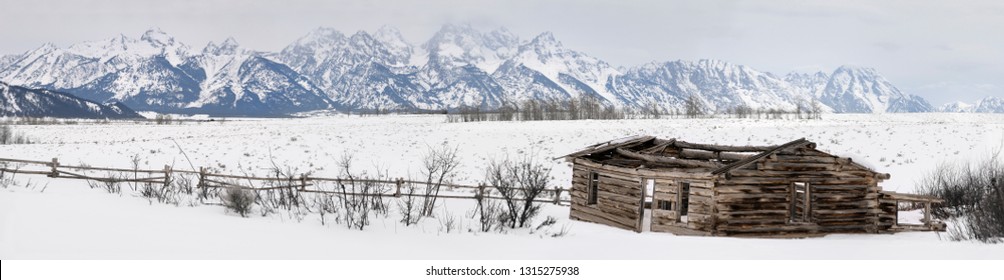 Wide Panorama of the Teton Range mountains in Wyoming with collapsed Shane Cabin in winter