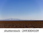 Wide Panoramic of Patagonian Steppe with Snow-capped Andes