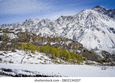A wide panoramic view captures the extensive snow-covered peaks of the Greater Caucasus Mountains, with a valley featuring vibrant yellow-green autumn trees in Stepantsminda, Georgia. The foreground shows a field blanketed in fresh snow under a crisp blue sky with scattered cirrus clouds.