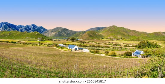 A wide panoramic view captures small farmhouses surrounded by lush vineyards and rolling hills, with the majestic Langeberg Mountains in the background, Robertson, South Africa