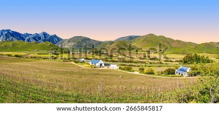 A wide panoramic view captures small farmhouses surrounded by lush vineyards and rolling hills, with the majestic Langeberg Mountains in the background, Robertson, South Africa