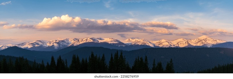 Wide panoramic view at mountain range. Snowy mountains in pink sunlight and dark coniferous forest.  - Powered by Shutterstock