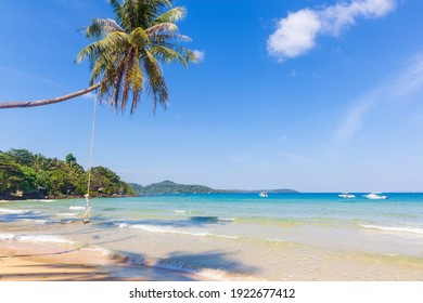 Wide Paradise Beach Background With Coco Palms