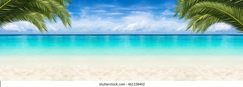 wide paradise beach panorama background with coco palms