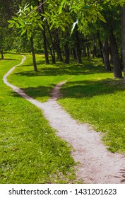 The wide path in the grass splits into two narrow paths in the park. Summer landscape