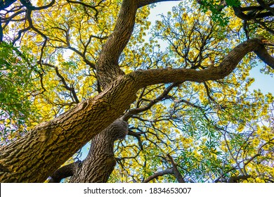 173,196 Spring Perspective Images, Stock Photos & Vectors | Shutterstock
