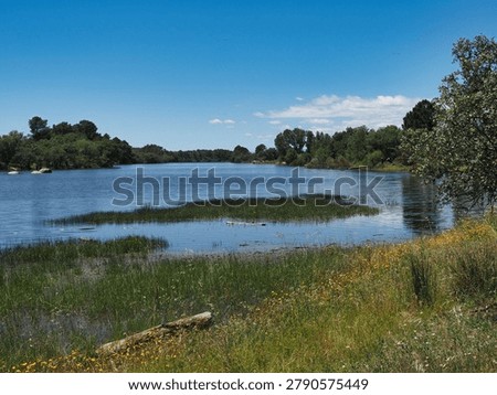 A wide river flows under a clear blue sky with a few clouds. Green grass grows along the banks, and trees provide shade. Some ducks swim in the water near the shore.