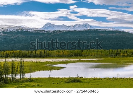 Wide river valley bordered by dense forest with snow-covered mountains stretching across the horizon in Interior Alaska. A peaceful wilderness landscape along the Fairbanks to Valdez route.