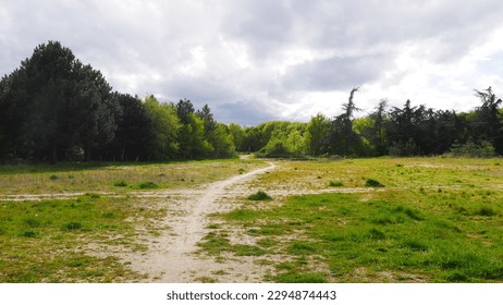Wide road or forest or dirt road, in the middle of an airy forest, cycling, with lots of greenery and dense foliage, empty, nobody, natural total freedom, dark or light green - Shutterstock ID 2294874443