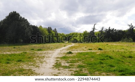 Wide road or forest or dirt road, in the middle of an airy forest, cycling, with lots of greenery and dense foliage, empty, nobody, natural total freedom, dark or light green