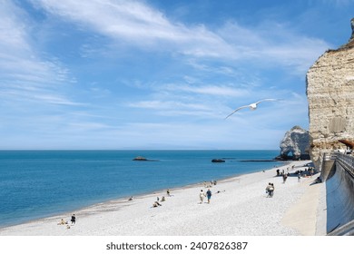 Wide sandy beach, coastline with natural stone arch in Etretat, Normandy, France.  - Powered by Shutterstock