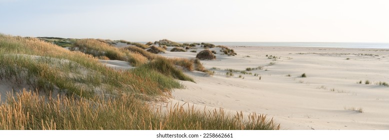 Wide, sandy beach on the North Sea - Shutterstock ID 2258662661