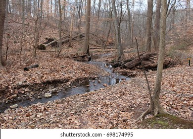 Wide Shot Of Black Bear Brook Near The Deserted Village In The Watchung Reservation In New Jersey