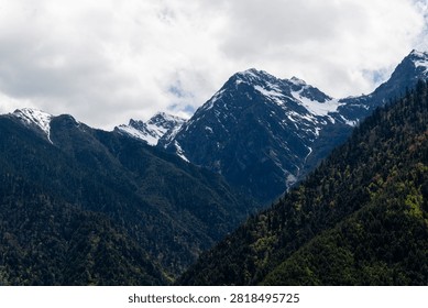 A wide shot capturing a dramatic alpine mountain range with jagged peaks partially covered in snow under a thick cloud layer in Yunnan, China. The steep foreground slopes are heavily blanketed by dense green pine forests.