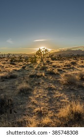 Wide Shot Of Desert Scene At Sun Set In A California Desert