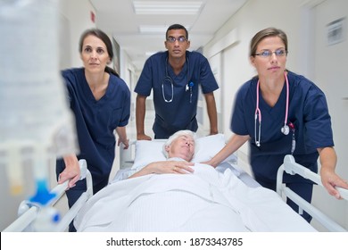 Wide Shot Of The Emergency Medical Team Wheeling The Patient Along The Hospital Corridor