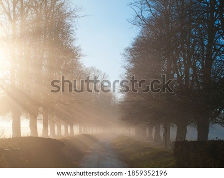 Similar – Image, Stock Photo Winter morning scene with snowy Alps mountains in Austria