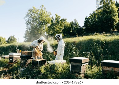 Wide shot of honey farm with unrecognizable beekeepers in protective uniforms checking on frames with honeycomb and calming bees with smoker in apiary