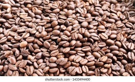 Wide Shot Of A Large Amount Of Beautiful Freshly Roasted Indian Monsoon Malabar Arabica Coffee Beans. Cafe Espresso Barista Roaster Concept. High Quality Background Banner Style.