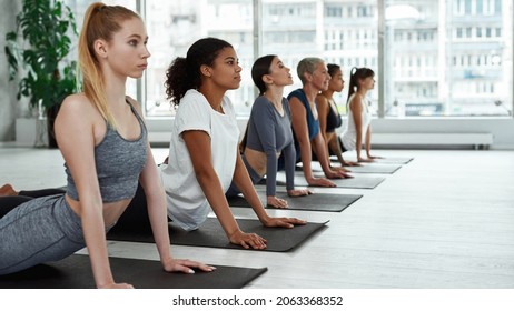 Wide shot of sporty diverse multiethnic women in sportswear train practice yoga in fitness club. Active multiracial females meditate do sports exercise workout together on stretching pilates class. - Powered by Shutterstock