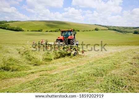 Similar – Image, Stock Photo Dry grasses in autumn. Brown colours and sad mood.