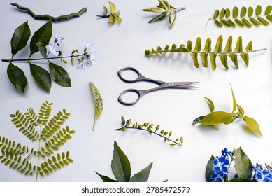 A wide top-down view of many different types of green leaves, ferns, and purple flowers spread across a white surface with a pair of scissors in the middle.