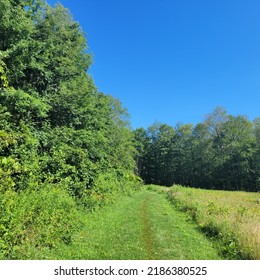 Wide Trail Through A Meadow In The  Berkshires, Massachusetts