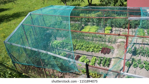 wide vegetable garden of a house with a hail and bird protection net
