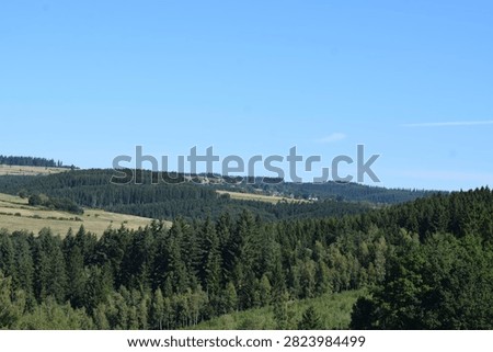 wide Venn landscape with forests and fields in Belgium