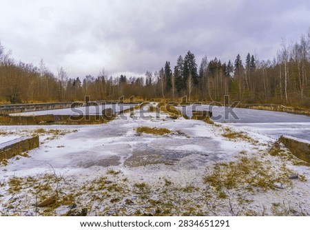 Wide view of abandoned rectangular concrete basin partially covered with thin ice and patches of snow, surrounded by leafless birch and evergreen trees under heavy