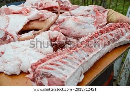 Wide view of assorted raw pork cuts, ribs, fat, skin and animal parts arranged on a table after traditional rural butchering.
