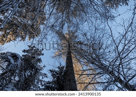 Similar – Image, Stock Photo Wind power at Roßkopf 8