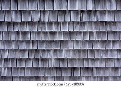 Wide view of cedar shingles which have shrunk and faded gray with age in the early morning light.