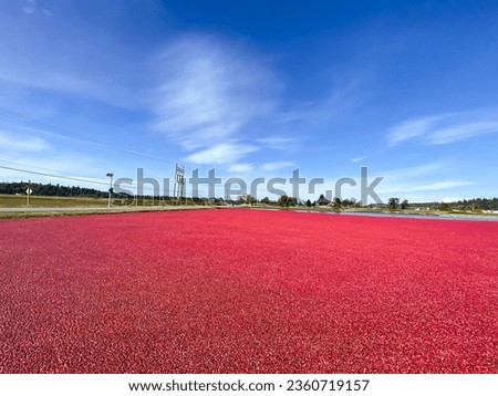 Wide view of the Cranberry Bog with Blue Sky