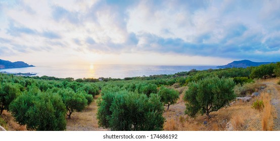 Wide view of a Cretan landscape, island of Crete,  Greece - Shutterstock ID 174686192