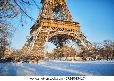 Wide view of the Eiffel Tower with its base surrounded by snow-covered trees and park grounds in Paris. Captured on a bright winter morning, with people walking in the distance and long shadows