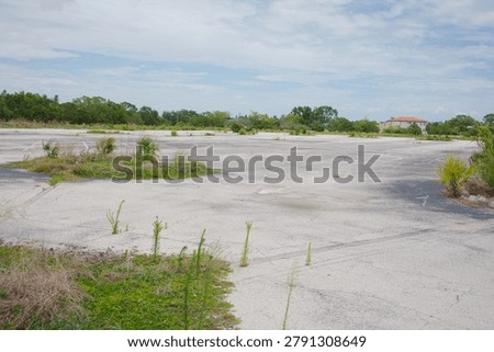 Wide view of an empty, abandoned parking lot with cracked asphalt and overgrown weeds under a cloudy sky, framed by low-rise suburban buildings and distant trees conveying desolation and neglect.
